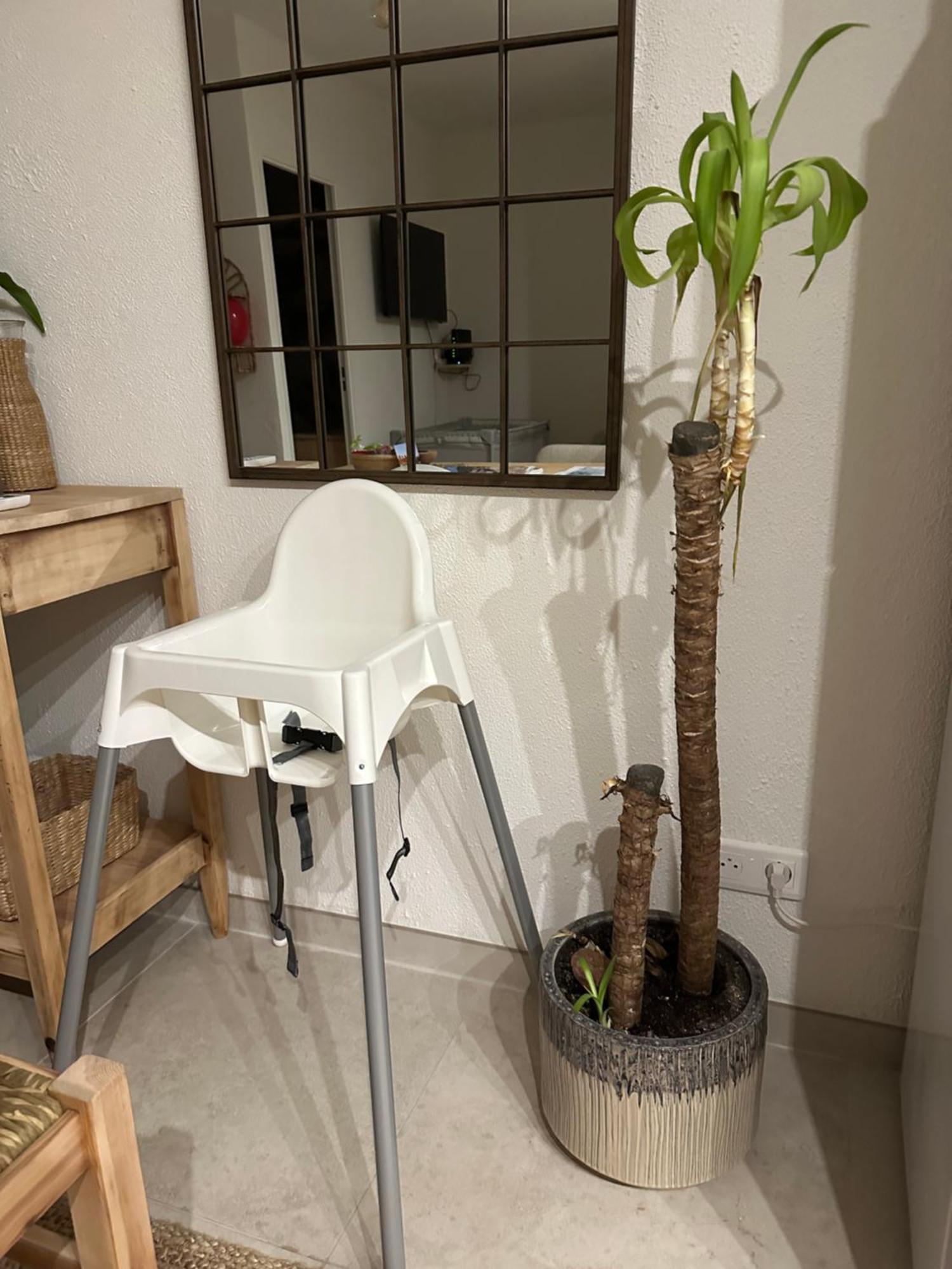 Appartement Sea Shell キャバレール・シュル・メール エクステリア 写真